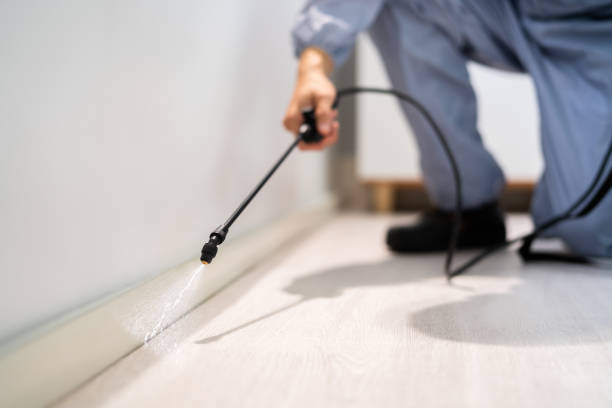 Licensed Termite Control service in Emmitsburg, MD - Nex Pest Control