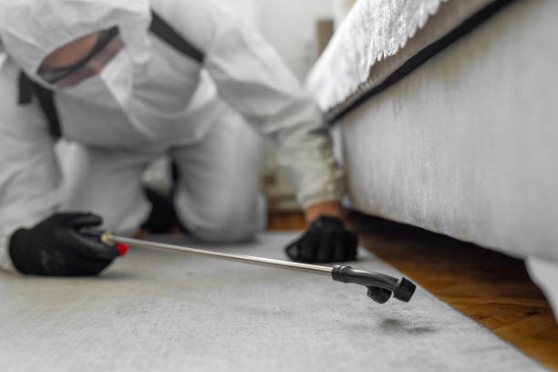 Professional Termite Control technician working in Emmitsburg, MD