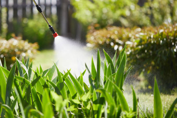 24/7 Emergency Termite Control experts in Emmitsburg, MD