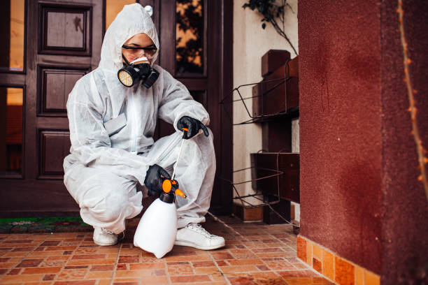 Reliable Termite Control contractor in Emmitsburg, MD by Nex Pest Control